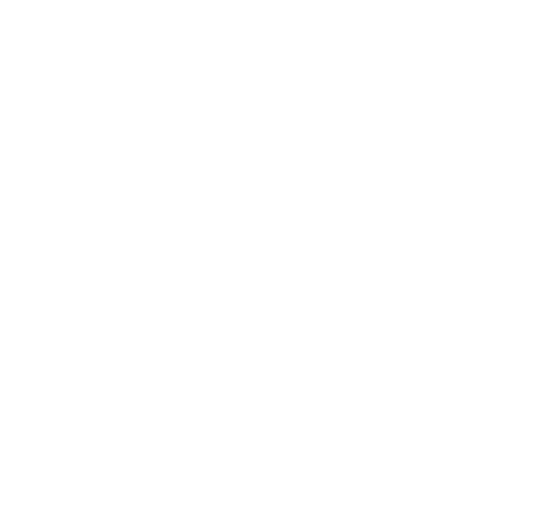 Vairion