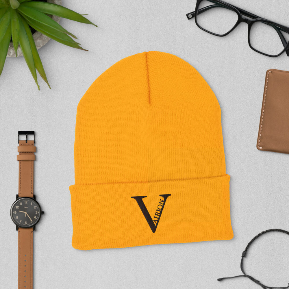 Cuffed Vairion Beanie - Image 105
