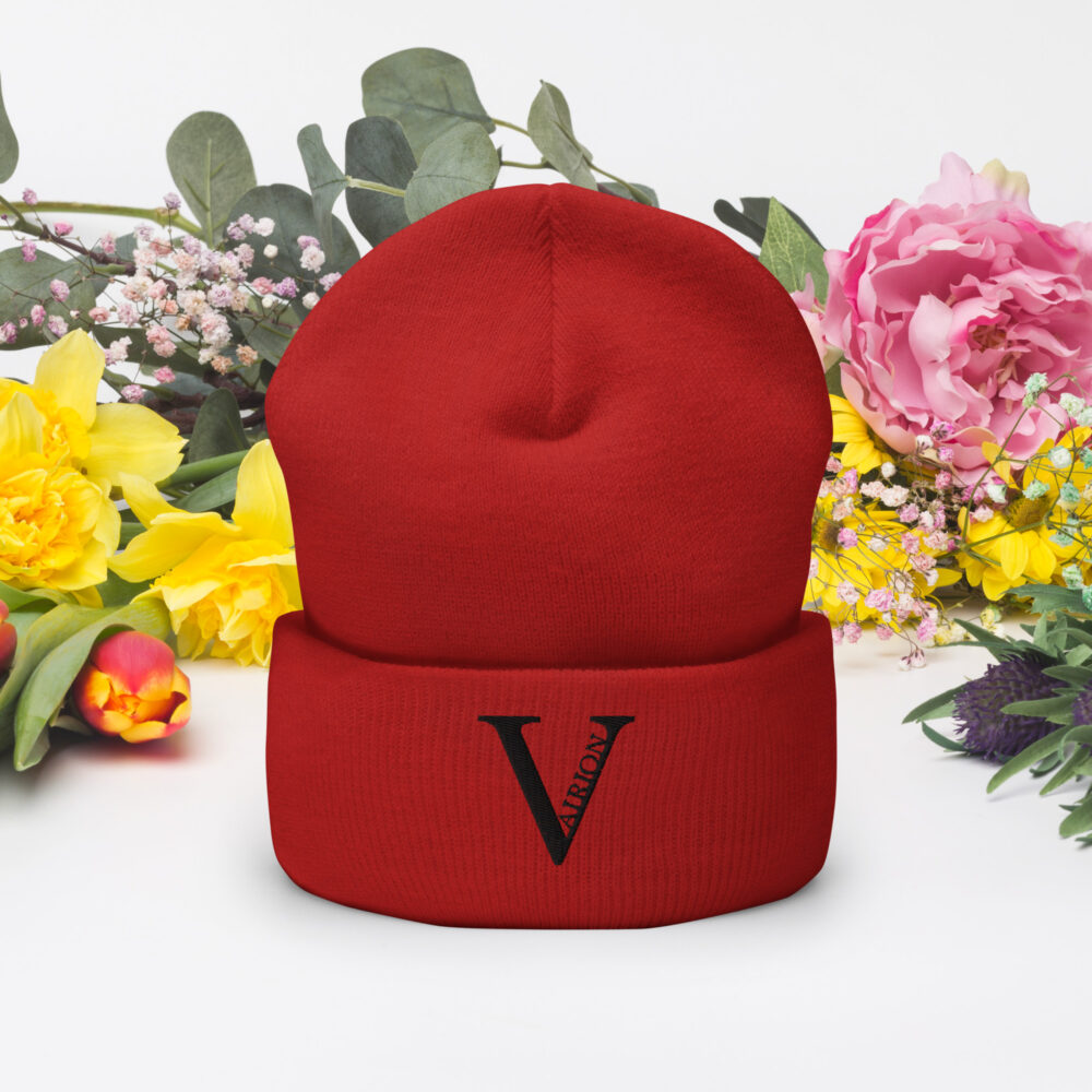 Cuffed Vairion Beanie - Image 85