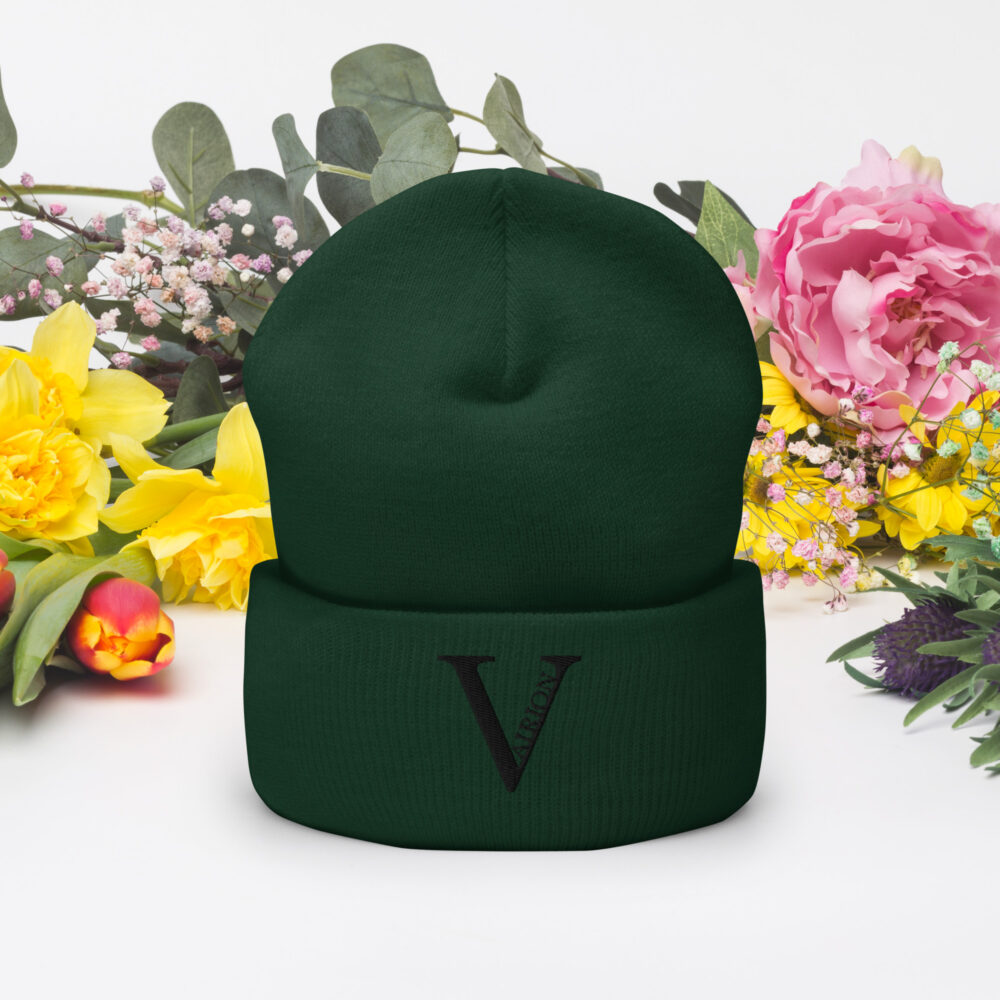 Cuffed Vairion Beanie - Image 57